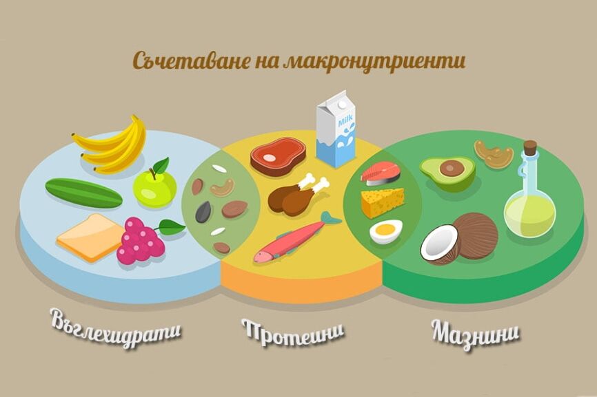 Разделно хранене. Съчетаване на въглехидрати с други макронутриенти.
